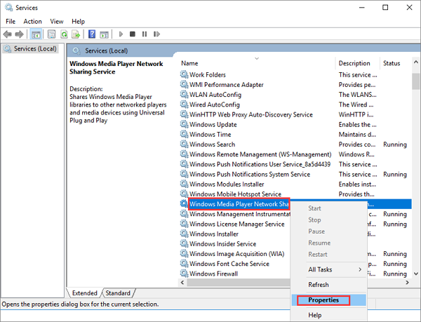 點擊Windows Media Player Network Sharing Service內容