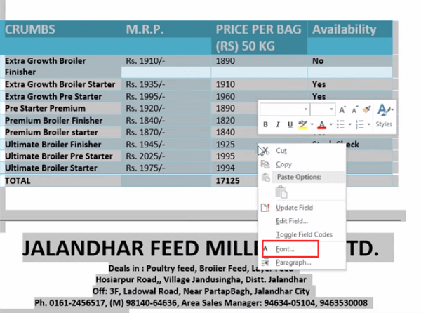 使文字顯示在 word 文件中