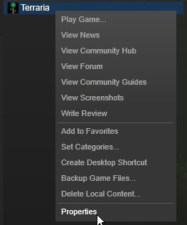 修復 Terraria 加載失敗未找到備份 -1