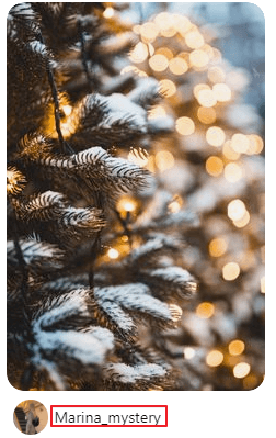 使用使用者名稱復原Pinterest照片