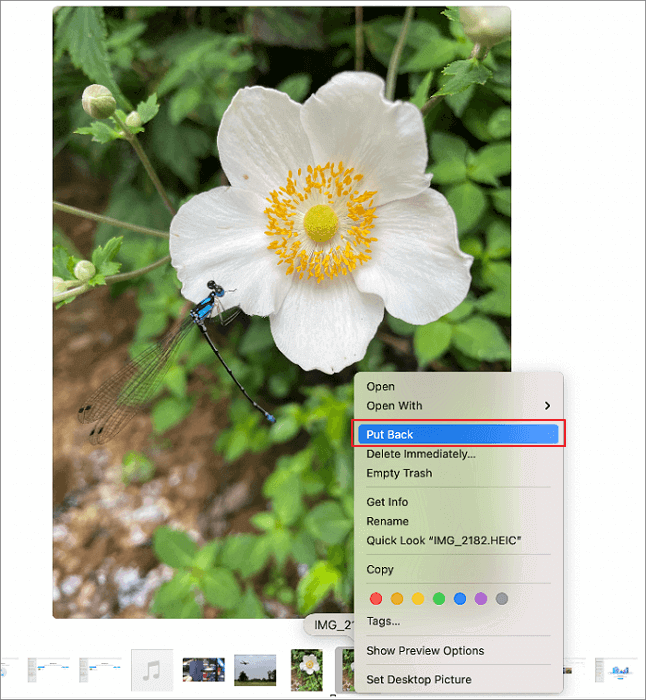恢復垃圾桶中已刪除的文件