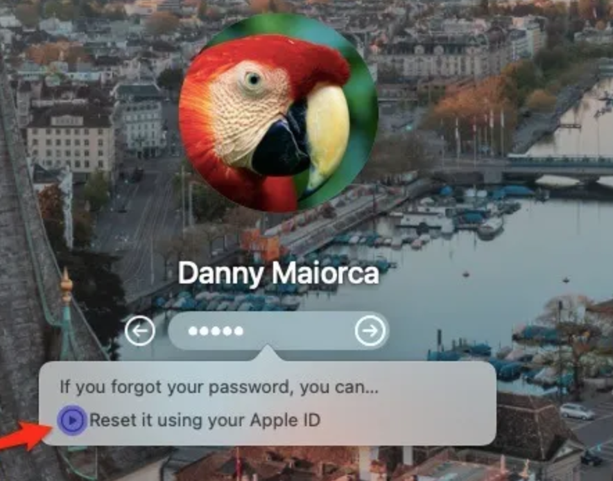 使用 apple id 重置