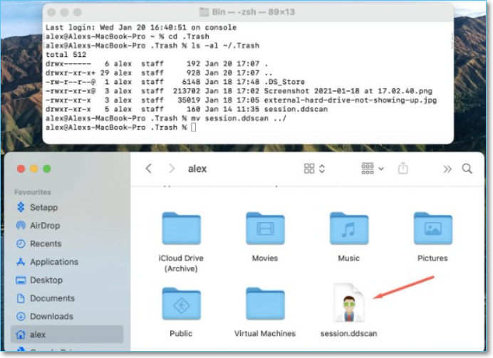 在終端機輸入 quit