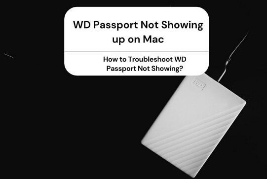 WD Passport 未顯示在 Mac 上