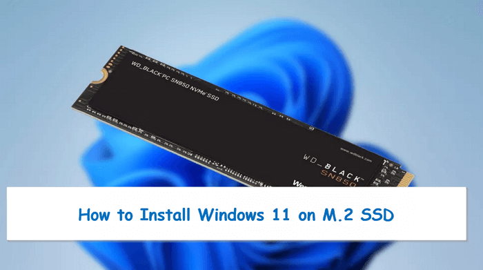 2023：如何在M.2 SSD 上安裝Windows 11（附圖） - EaseUS