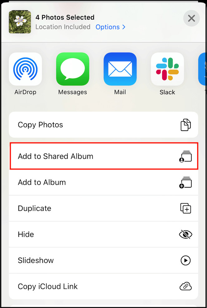 將照片分享到共享相簿