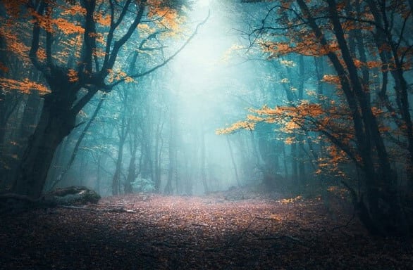 如何在Mac/Windows電腦上將ASPX轉PDF