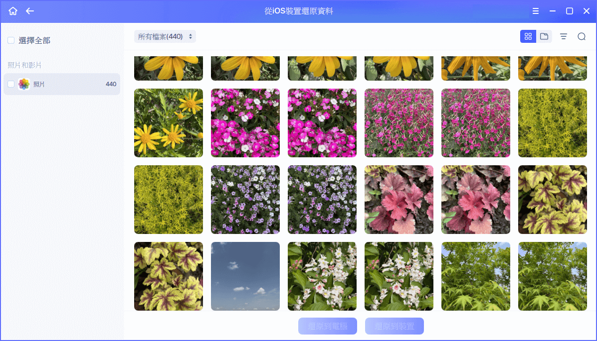 從iPhone救照片 — 步驟3