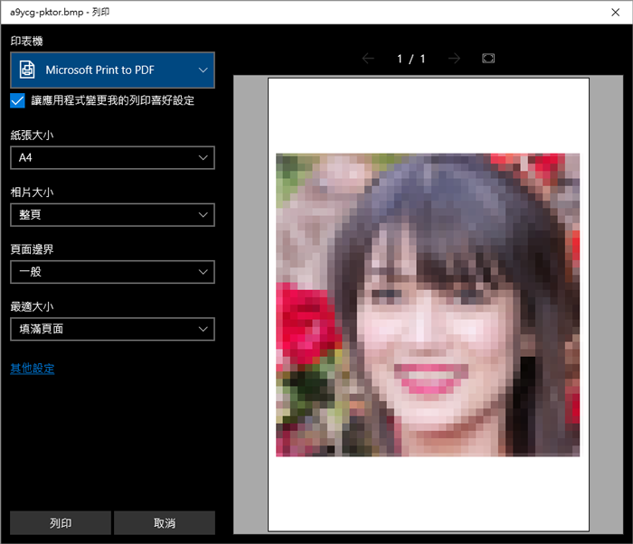 Microsoft Print to PDF