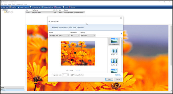 Windows傳真和掃描
