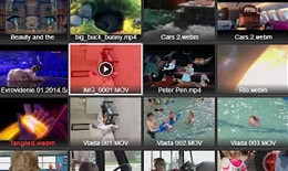 用免費的視訊救援軟體/影片救援軟體來救回刪除/格式化的視訊檔/影音檔 